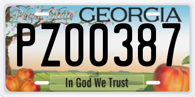 GA license plate PZO0387