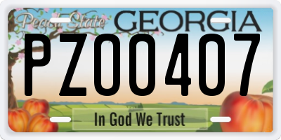 GA license plate PZO0407