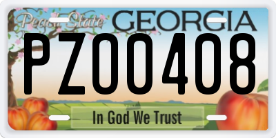 GA license plate PZO0408