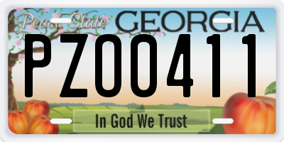 GA license plate PZO0411