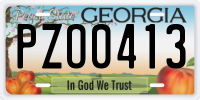 GA license plate PZO0413