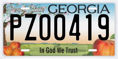 GA license plate PZO0419