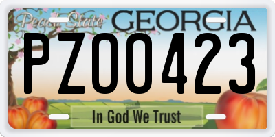 GA license plate PZO0423
