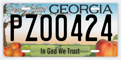 GA license plate PZO0424