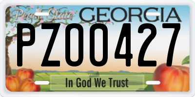 GA license plate PZO0427