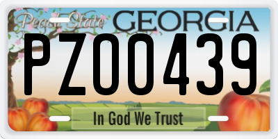 GA license plate PZO0439