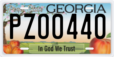 GA license plate PZO0440