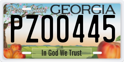 GA license plate PZO0445