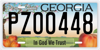 GA license plate PZO0448