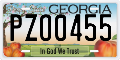 GA license plate PZO0455