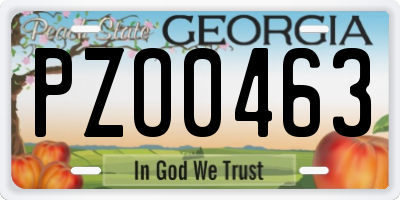 GA license plate PZO0463
