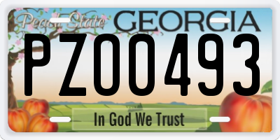 GA license plate PZO0493