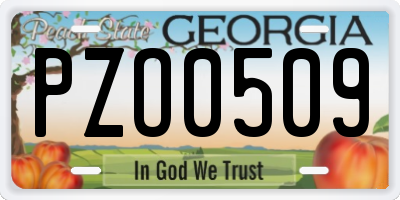 GA license plate PZO0509