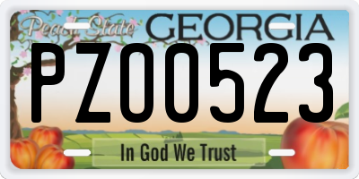 GA license plate PZO0523