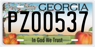 GA license plate PZO0537