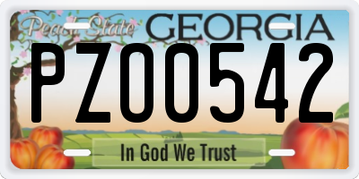 GA license plate PZO0542