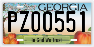 GA license plate PZO0551