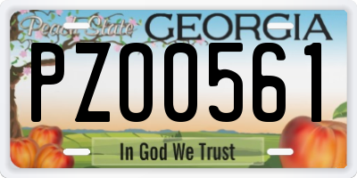 GA license plate PZO0561