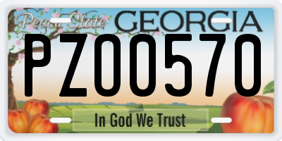 GA license plate PZO0570