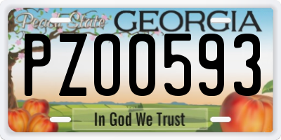 GA license plate PZO0593