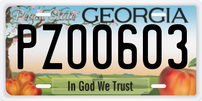 GA license plate PZO0603