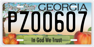GA license plate PZO0607
