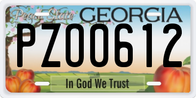 GA license plate PZO0612