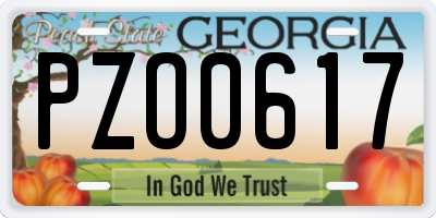 GA license plate PZO0617