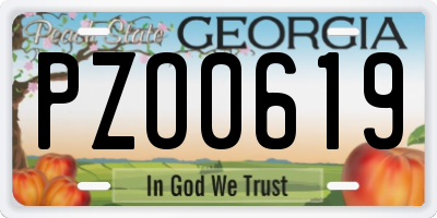 GA license plate PZO0619
