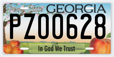 GA license plate PZO0628
