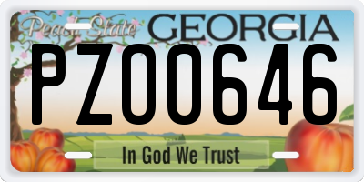 GA license plate PZO0646