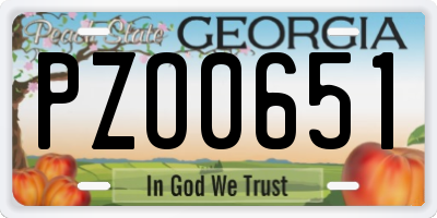 GA license plate PZO0651
