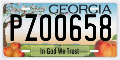 GA license plate PZO0658