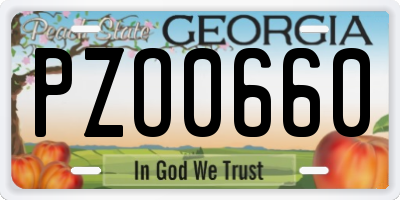 GA license plate PZO0660