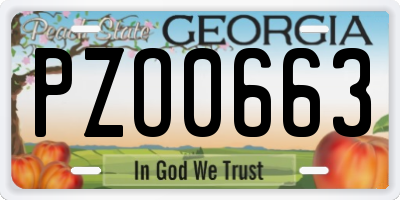 GA license plate PZO0663