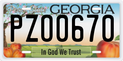 GA license plate PZO0670