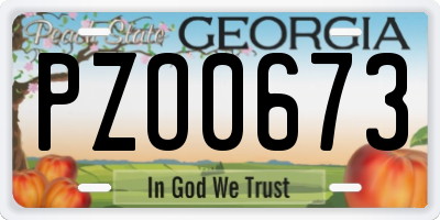 GA license plate PZO0673