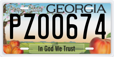 GA license plate PZO0674