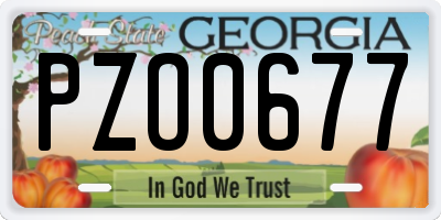 GA license plate PZO0677