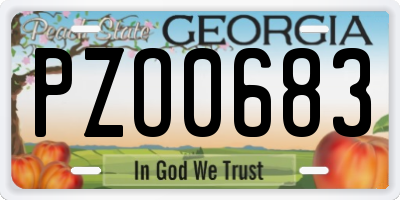 GA license plate PZO0683
