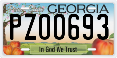 GA license plate PZO0693