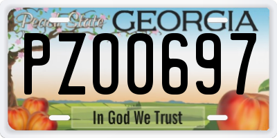 GA license plate PZO0697