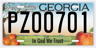 GA license plate PZO0701