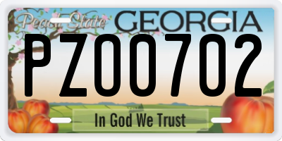 GA license plate PZO0702