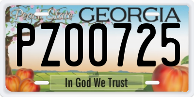 GA license plate PZO0725