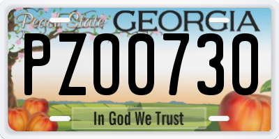 GA license plate PZO0730