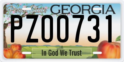 GA license plate PZO0731