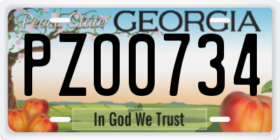 GA license plate PZO0734