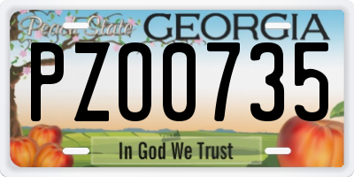 GA license plate PZO0735