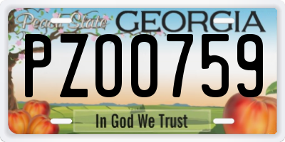 GA license plate PZO0759